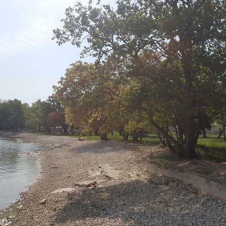 Apartman Garden Poreč Eksteriør bilde